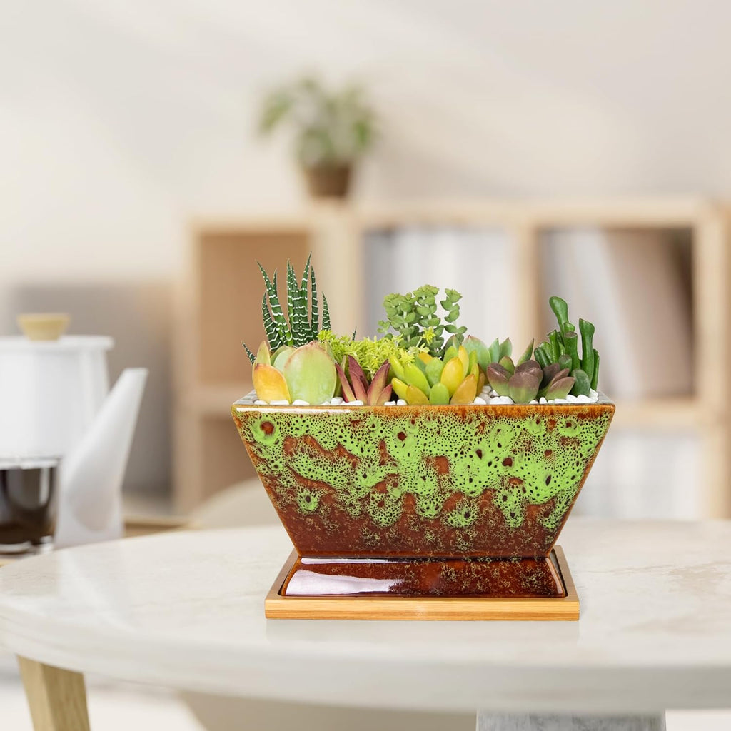 ARTKETTY Succulent Pots - 7 Inch Large Plant Pots with Drainage Tray | Shallow Ceramic Pots for Indoor Plants, Modern Cactus Bonsai Plant Container Decorative Home Office