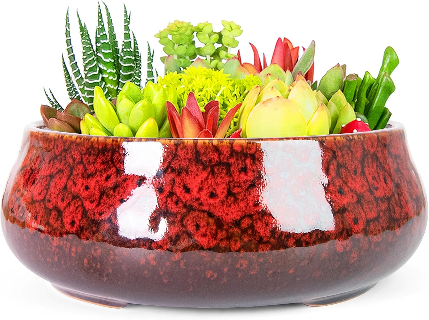 ARTKETTY Succulent Pots - 8 Inch Plant Pot, Large Bonsai Pots with Drainage, Ceramic Planters for Indoor Outdoor Plants, Round Shallow Cactus Flower Plant Container Bowl Decorative Home Garden