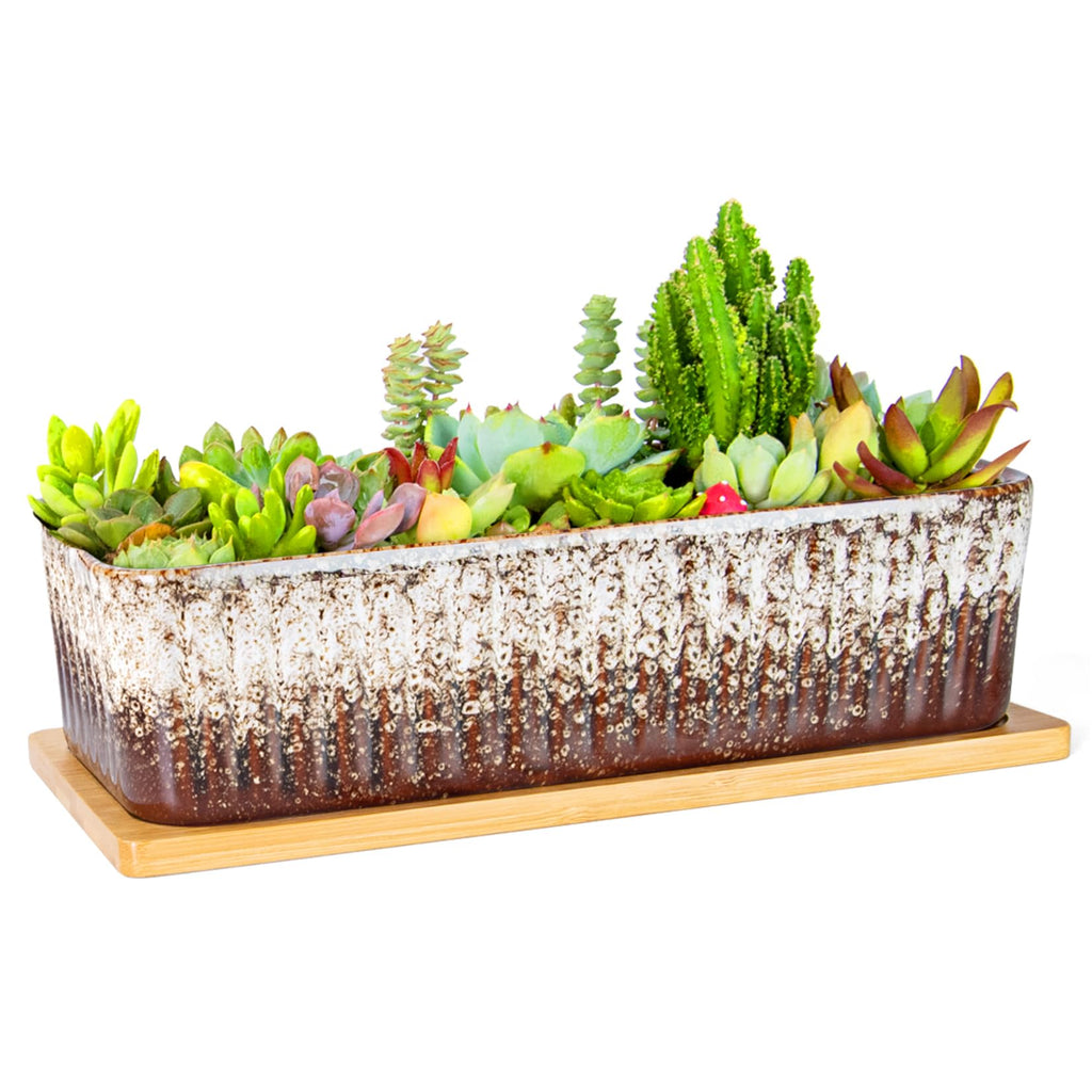 Succulent Pots - 12 Inch Large Succulent Planters with Drainage Tray, Window Sill Planter, Long Rectangle Ceramic Pots for Indoor Cactus Plants Shallow Bonsai Window Box for Home Garden Decor