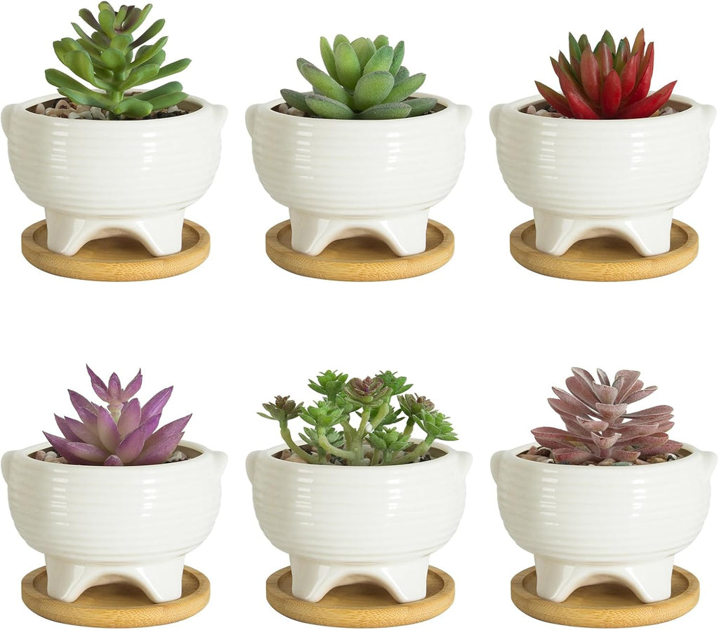 ARTKETTY Succulent Pots - 4 Inch Small Plant Pots with Drainage Trays Set of 6, Ceramic Pots for Indoor Plants White Cactus Flower Planter Container Decorative Garden Home