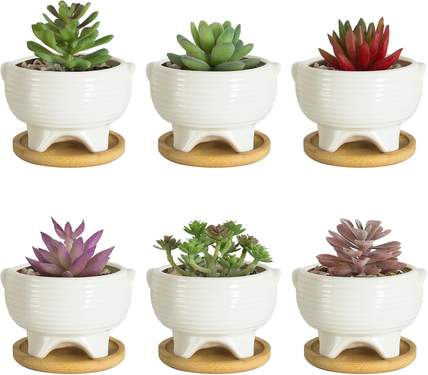 ARTKETTY Succulent Pots - 4 Inch Small Plant Pots with Drainage Trays Set of 6, Ceramic Pots for Indoor Plants White Cactus Flower Planter Container Decorative Garden Home