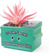 Green Lotus-pink