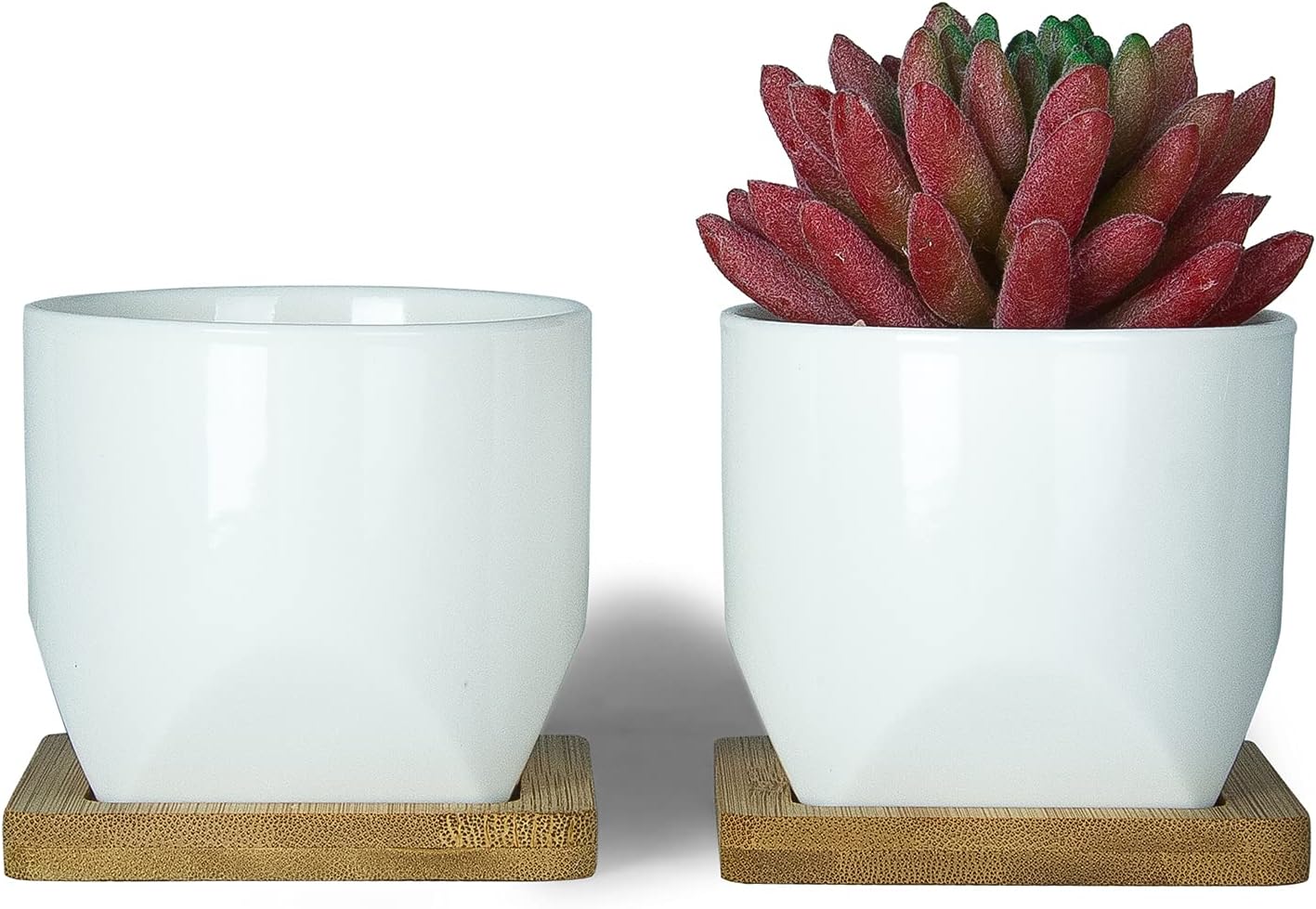 ARTKETTY Succulent Pots - 4 Inch Small Plant Pots with Drainage Trays Set of 6, Ceramic Pots for Indoor Plants White Cactus Flower Planter Container Decorative Garden Home