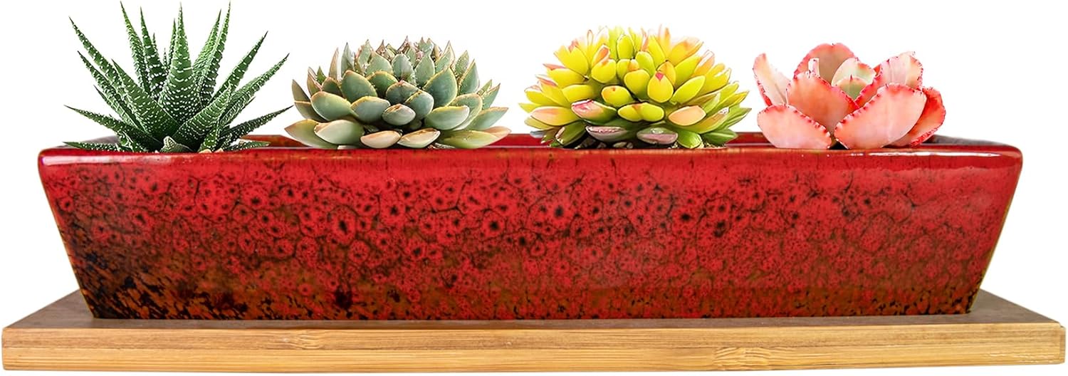 ARTKETTY Succulent Pots, 9.8 Inch Ceramic Succulent Planters with Drainage Small Bonsai Pot with Bamboo Tray, Mini Cactus Flower Planter Pot Shallow Rectangular Window Planters for Indoor Plants