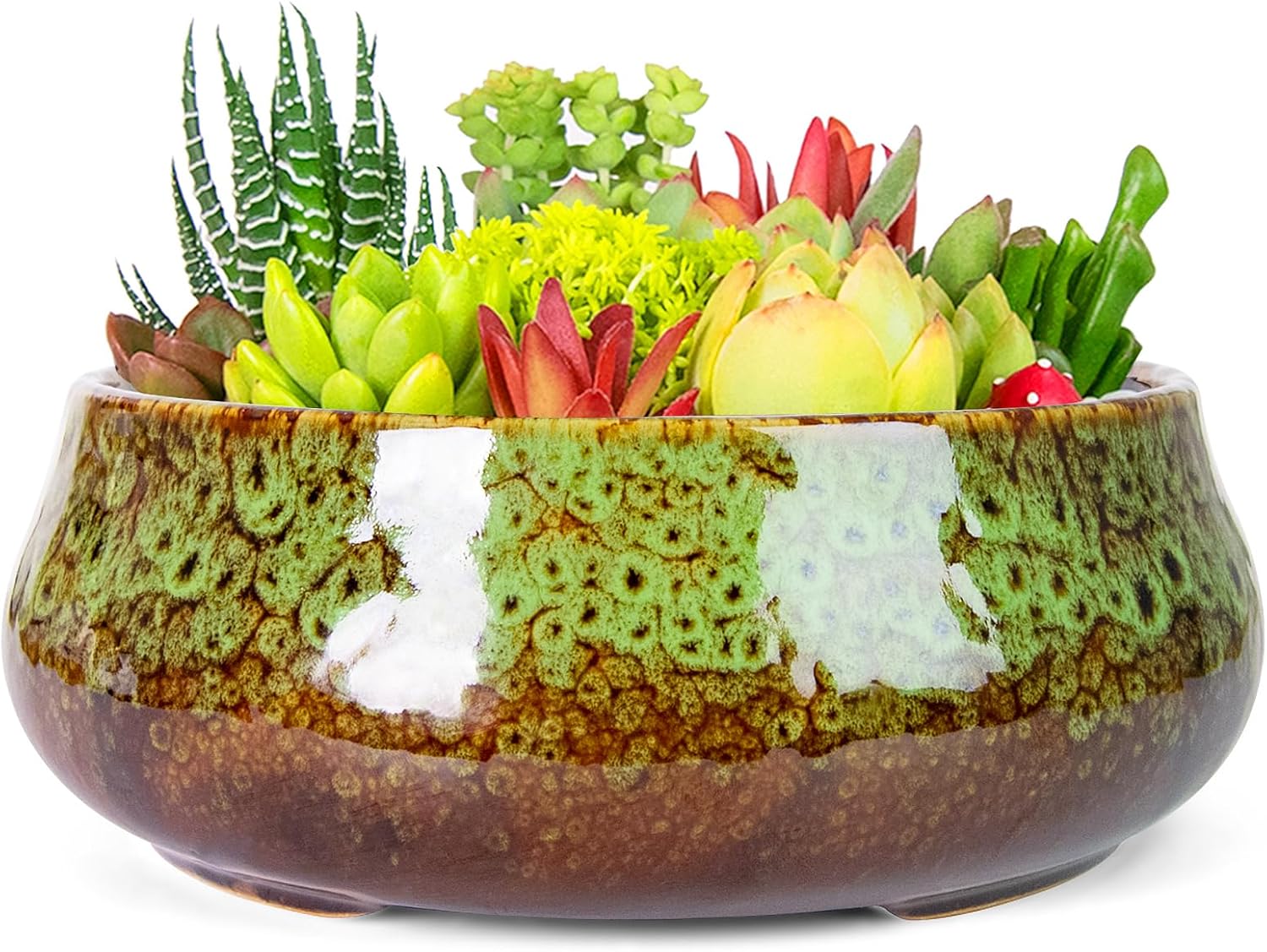 ARTKETTY Succulent Pots - 8 Inch Plant Pot, Large Bonsai Pots with Drainage, Ceramic Planters for Indoor Outdoor Plants, Round Shallow Cactus Flower Plant Container Bowl Decorative Home Garden