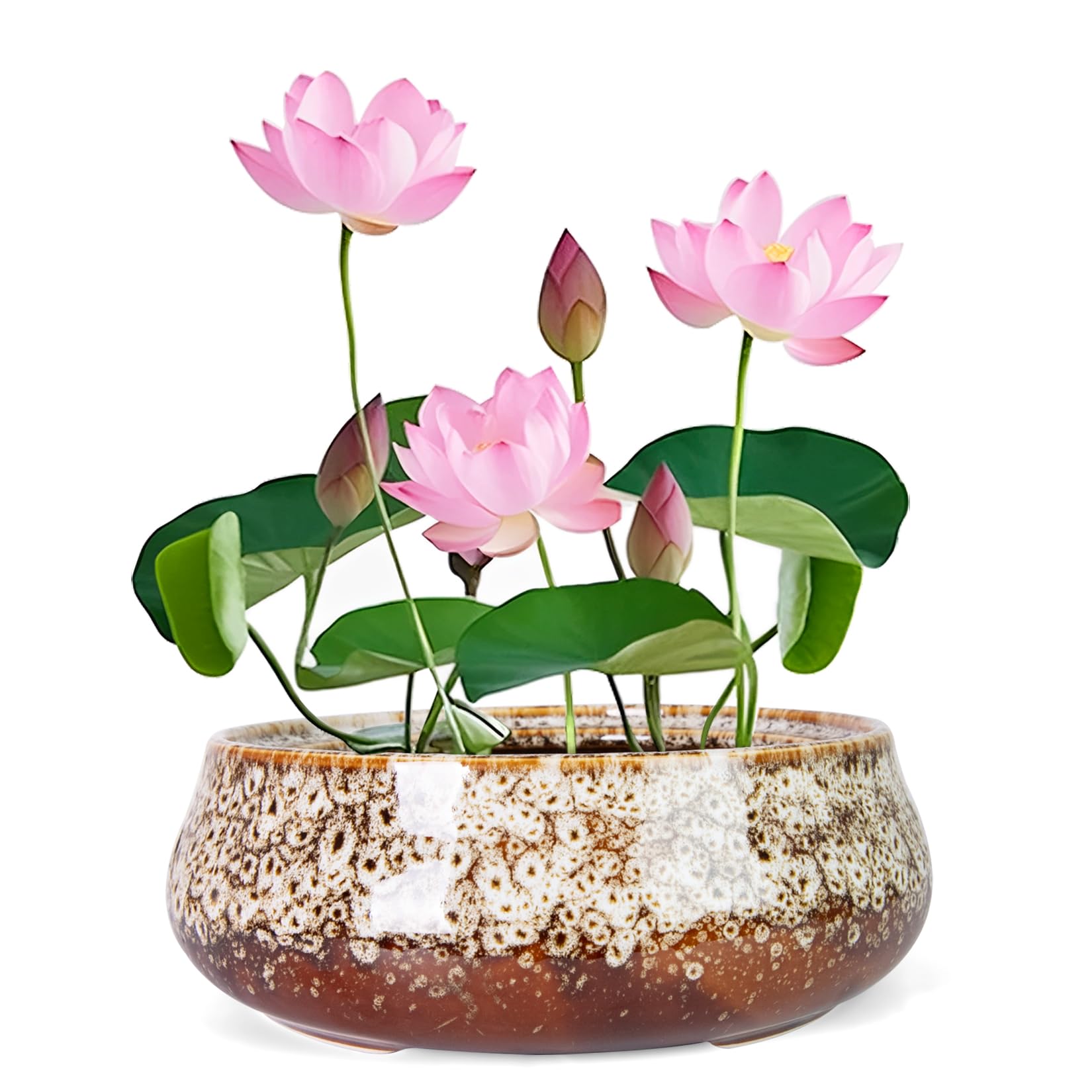 Lotus Bowl Planter - 8 Inch Large Lotus Flower Bowl for Water Plants, Ceramic Hydroponic Planter Water Lily Bowl for Planting Aquatic and Indoor Succulent Plants and Bonsai