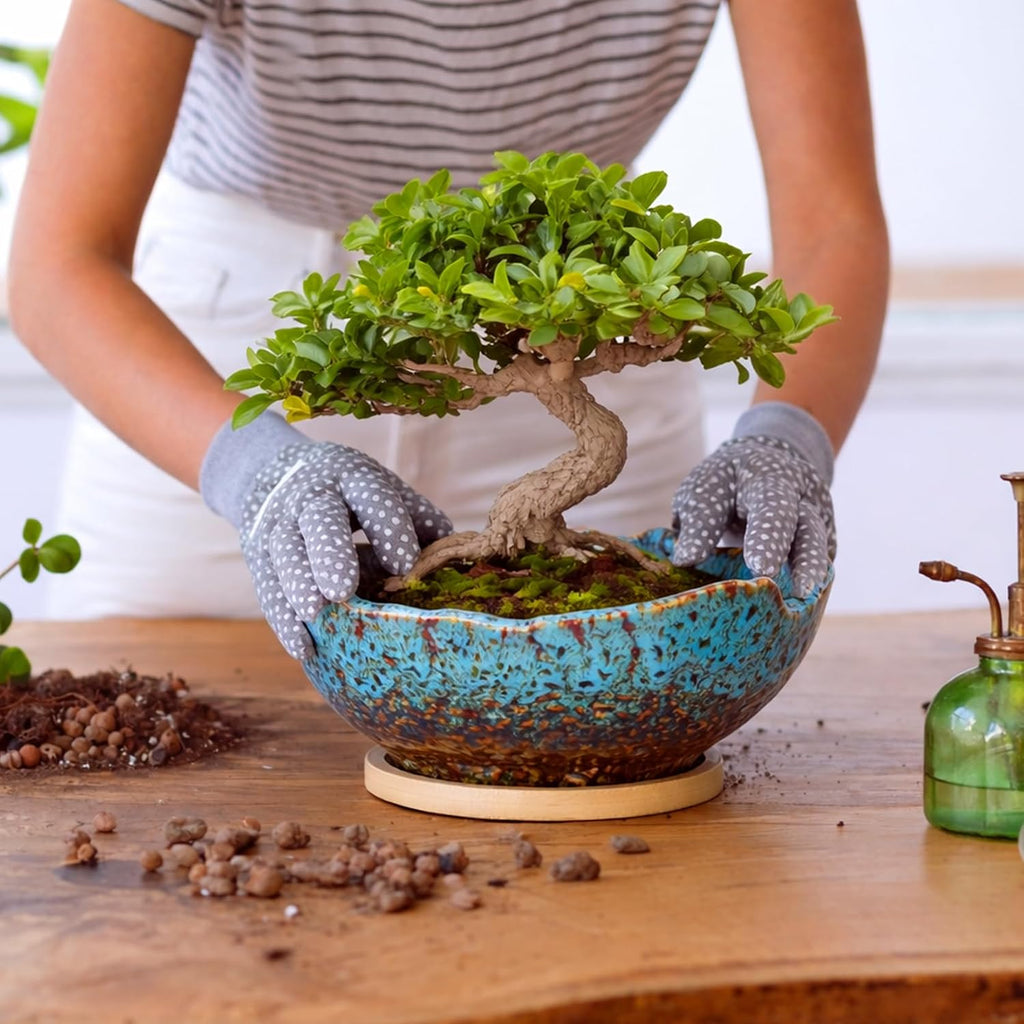 ARTKETTY Bonsai Pots - 9.06 Inch Large Plant Pots, Unique Succulent Pots with Drainage Tray, Ceramic Planters for Indoor Cactus Flower Plants Round Bonsai Tree Pots Decorative Home Office