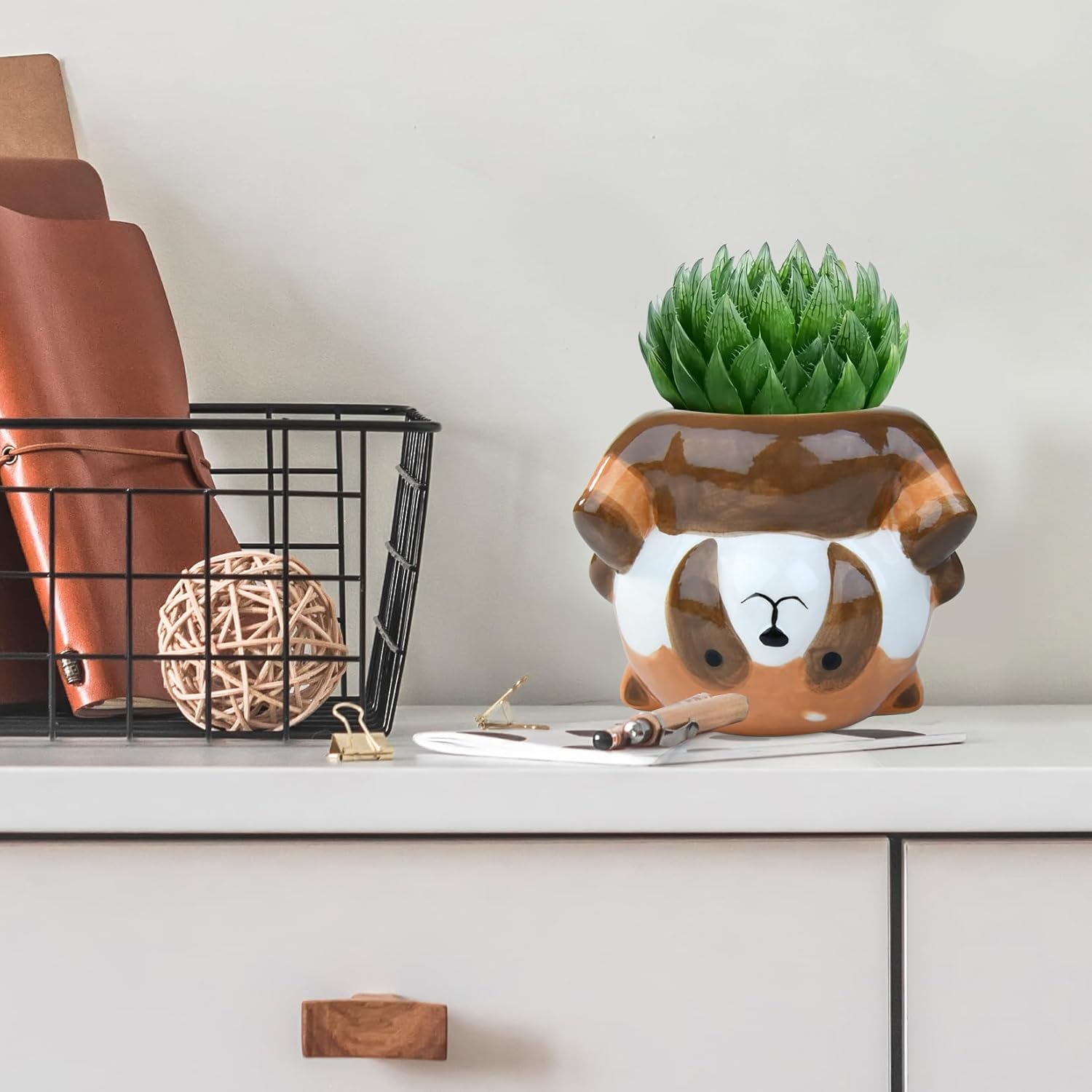 Cute Animal Ceramics Planter Succulent Pot with Drainage, 4.4 Inch Plant Pot for Indoor Mini Plants Flower Cactus, Home and Garden Decor Fun Raccoon Gifts