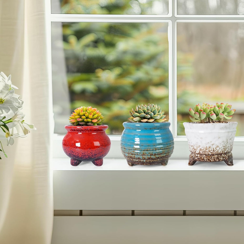 ARTKETTY Succulent Pots - Small Succulent Plant Pot with Drainage Pack of 6, Ceramic Cactus Planter Pots for Indoor Unique Flower Planter Container for Home Office Decor