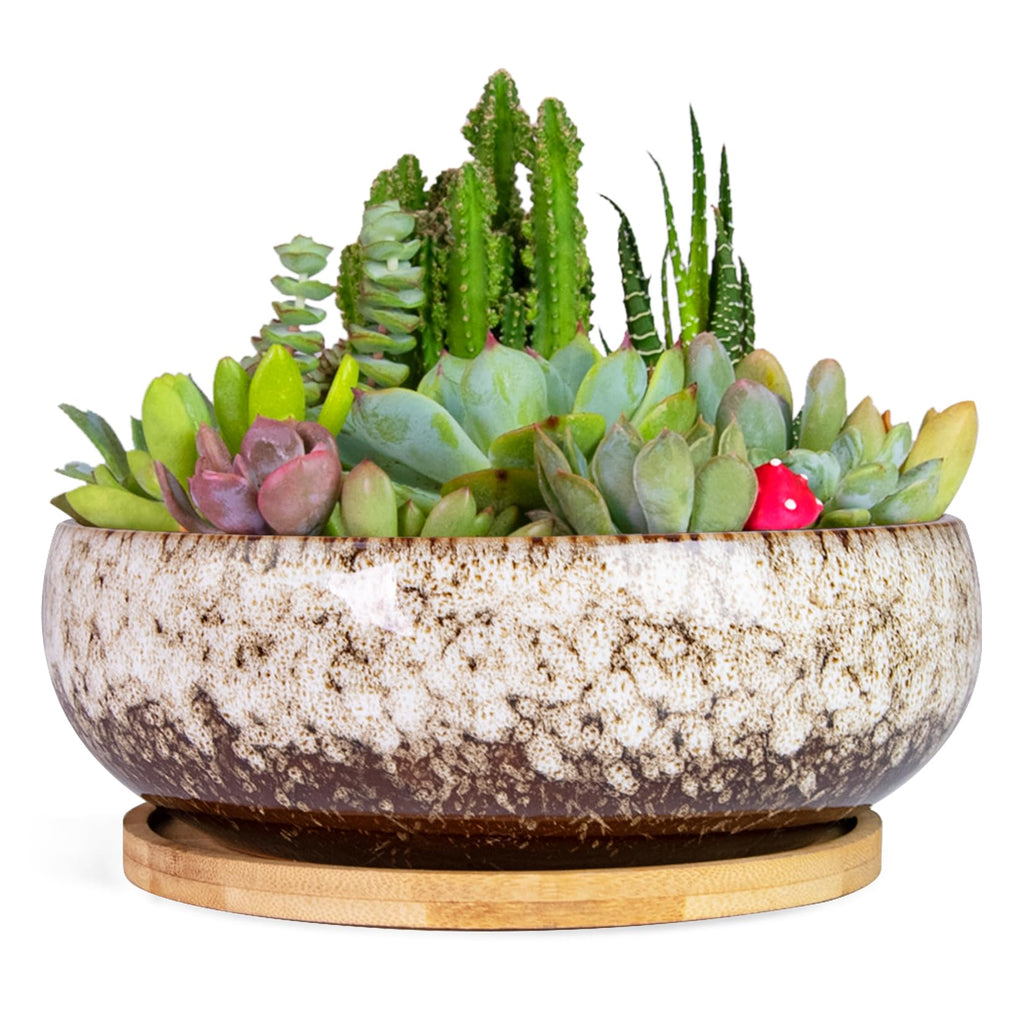 ARTKETTY Succulent Pots, 7.5 Inch Large Plant Pots with Bamboo Tray | Shallow Bonsai Pots with Drainage, Ceramic Planter for Indoor Plants, Cactus, Home Office Desk Decor