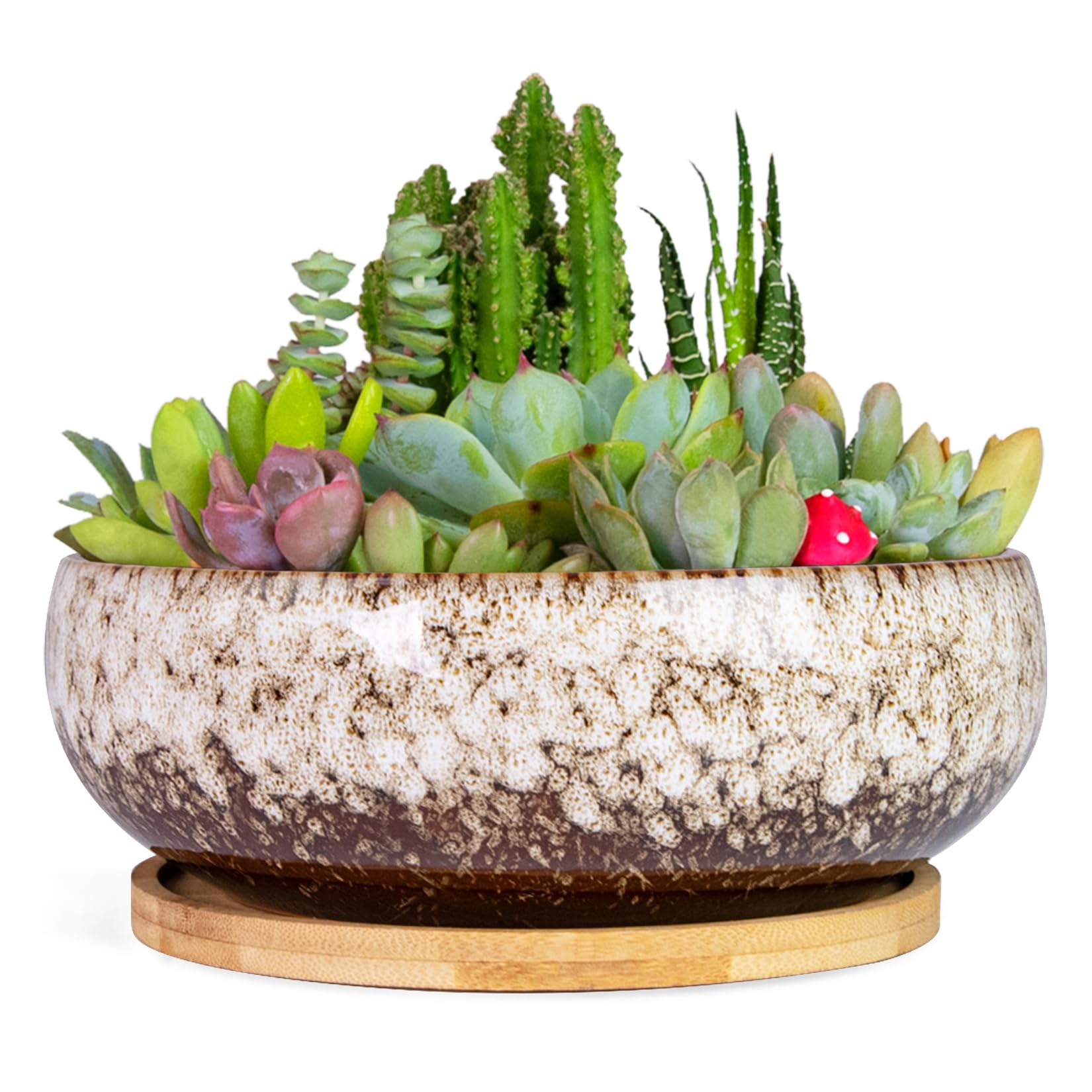 ARTKETTY Succulent Pots, 7.5 Inch Large Plant Pots with Bamboo Tray | Shallow Bonsai Pots with Drainage, Ceramic Planter for Indoor Plants, Cactus, Home Office Desk Decor