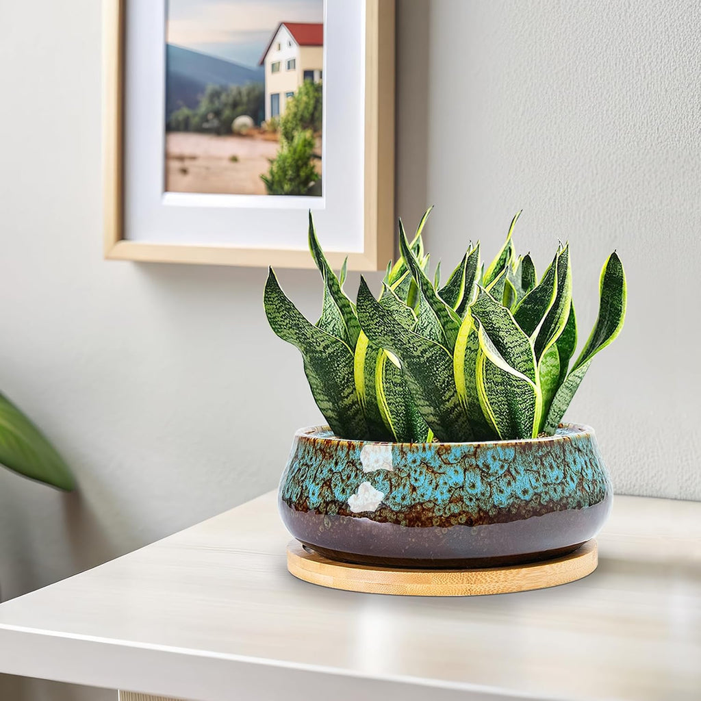 ARTKETTY Succulent Pots - 8 Inch Large Plant Pots, Shallow Planters | Ceramic Bonsai Pots with Drainage Tray, Round Cactus Flower Plant Container Bowl Decorative Home Garden
