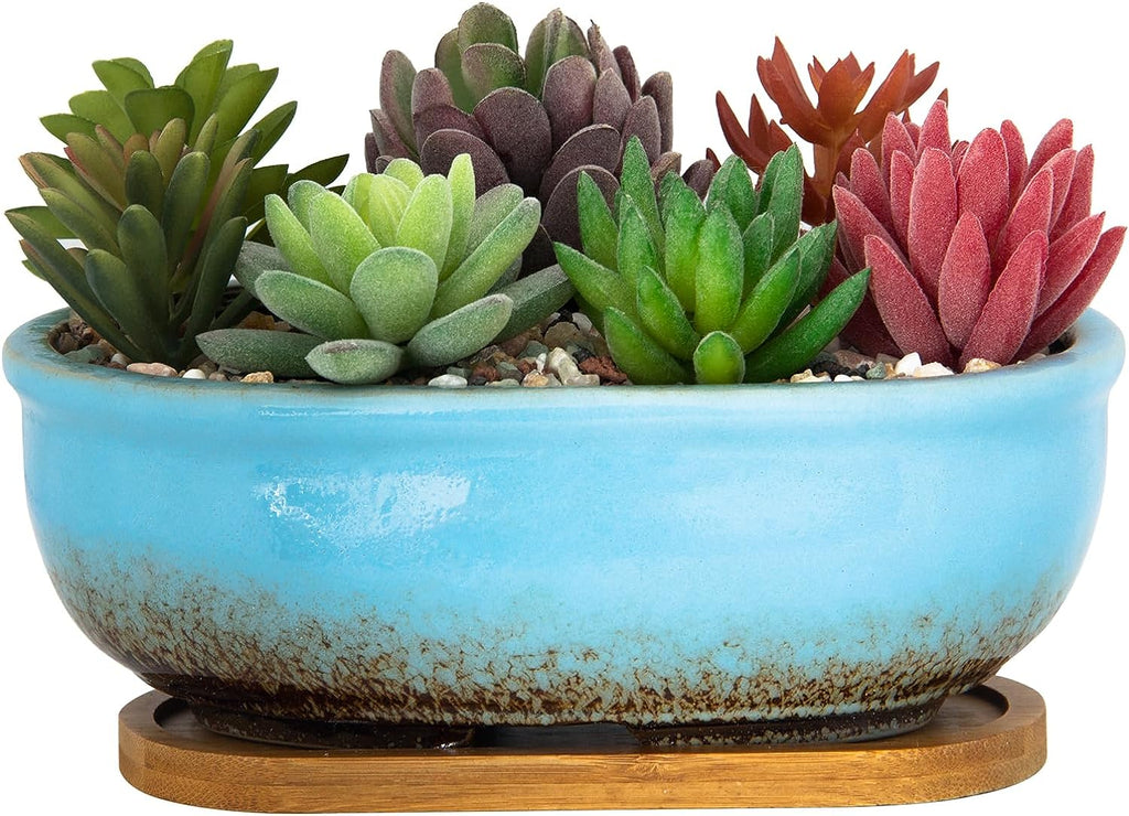 do succulent pots need drainage Succulent Pots, 7.9 Inch Long Rectangular Succulent Planters with Dra – artketty
