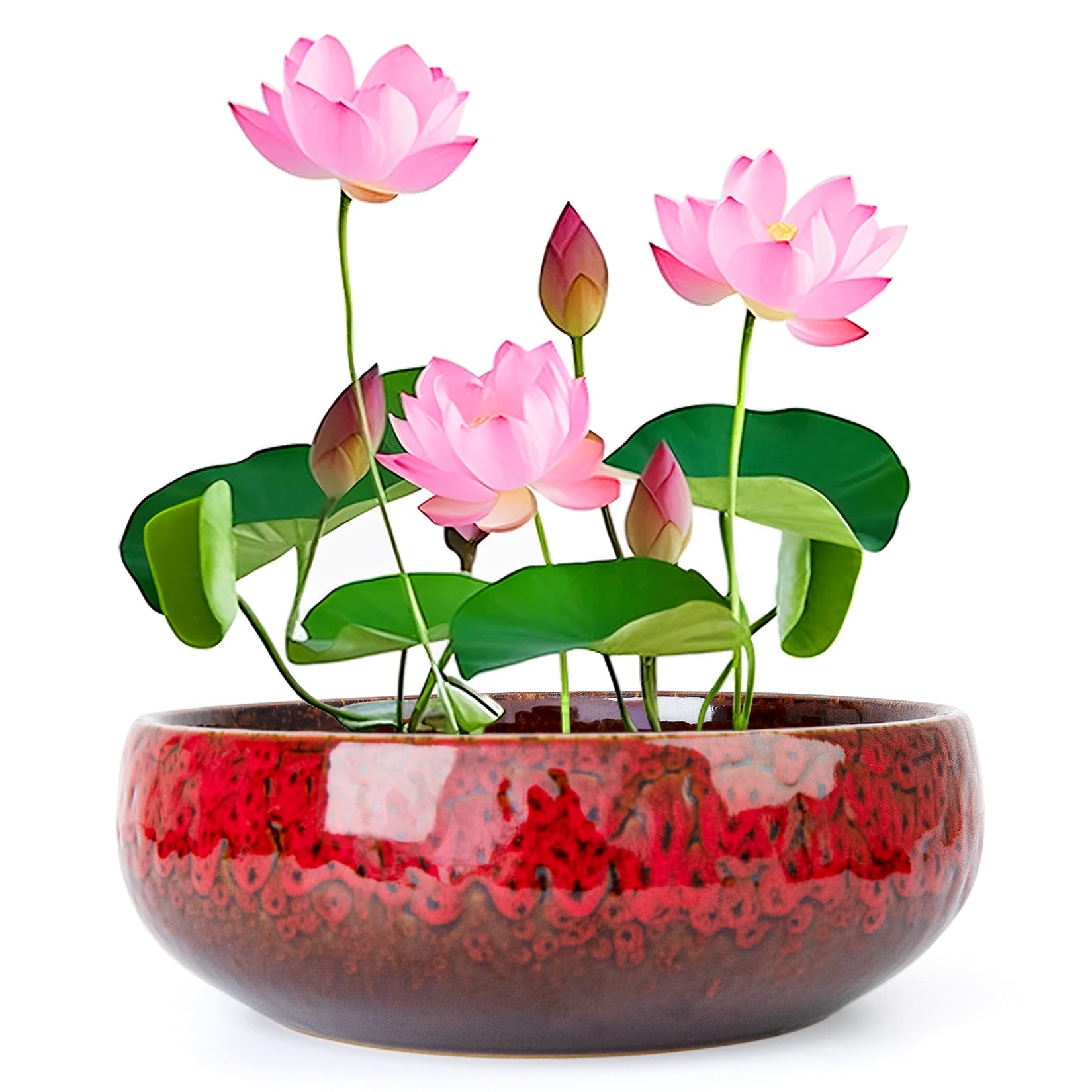ARTKETTY Lotus Bowl Planter - 8 Inch Large Lotus Flower Bowl for Water Plants, Ceramic Bonsai Bowl for Hydroponic Plant Succulent Plants Indoors Outdoor