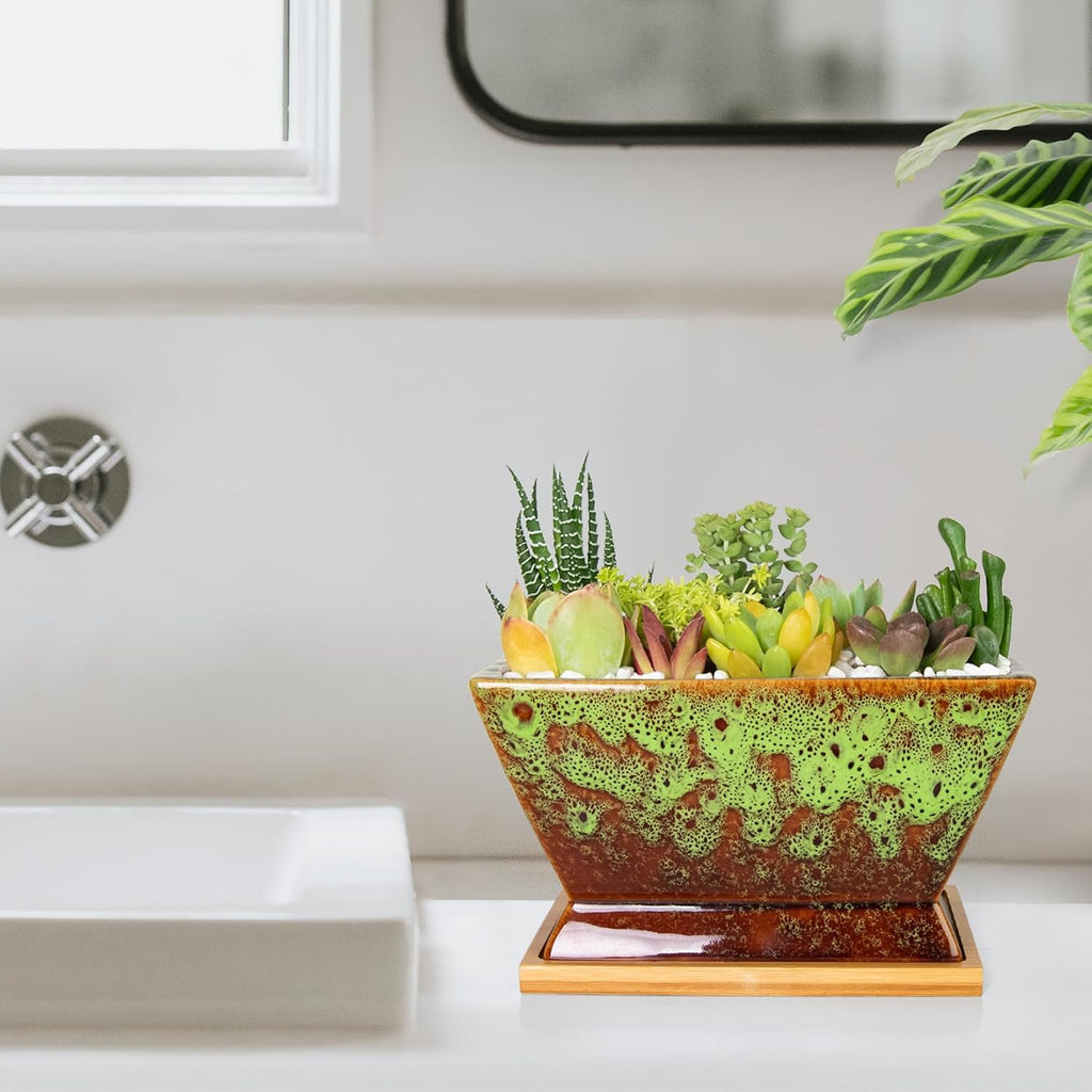 ARTKETTY Succulent Pots - 7 Inch Large Plant Pots with Drainage Tray | Shallow Ceramic Pots for Indoor Plants, Modern Cactus Bonsai Plant Container Decorative Home Office