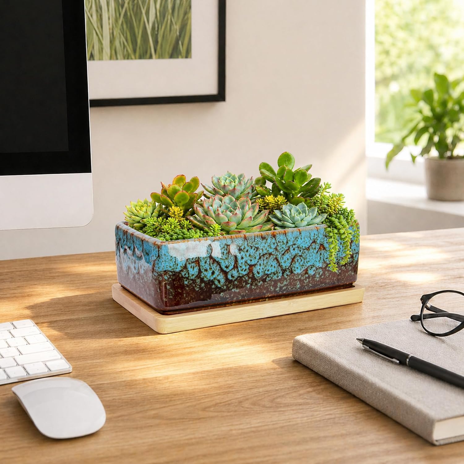 ARTKETTY Succulent Pots - 7 Inch Large Succulent Planters with Drainage Tray, Window Sill Planter, Long Rectangle Ceramic Pots for Indoor Cactus Plants Shallow Bonsai Window Box for Home Garden Decor