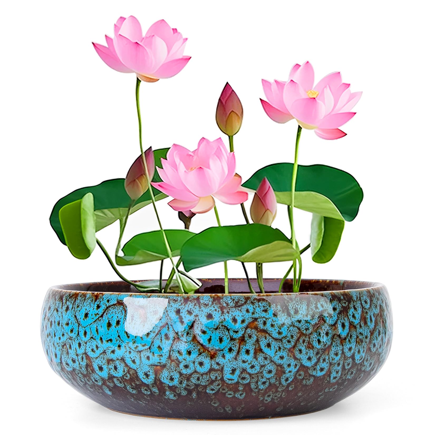 ARTKETTY Lotus Bowl Planter - 8 Inch Large Lotus Flower Bowl for Water Plants, Ceramic Bonsai Bowl for Hydroponic Plant Succulent Plants Indoors Outdoor