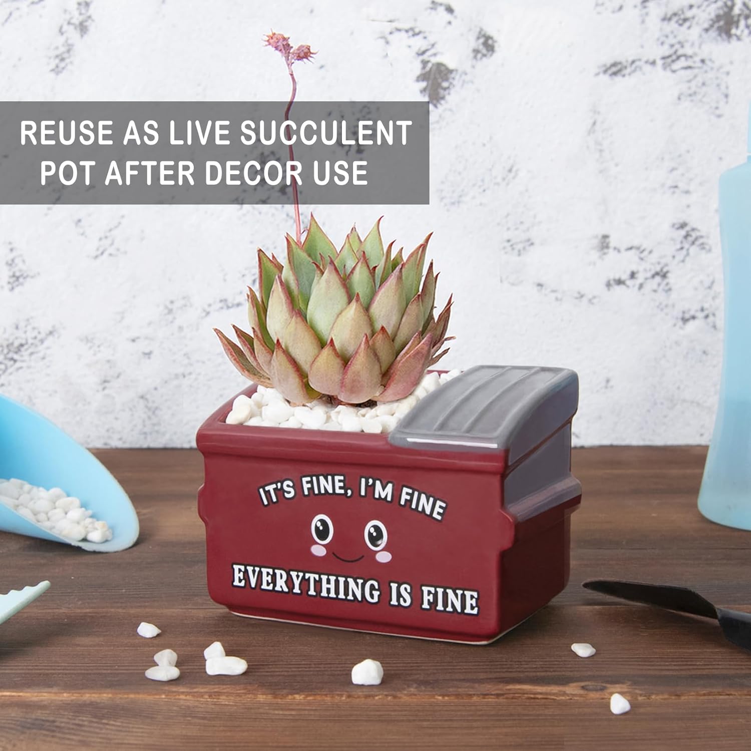 Dumpster Fire Fake Plants in Ceramic Succulent Pots Desk Decor, Emotional Support Positive Thinking Office Desk Accessories, Motivational Gifts for Women, Men, Coworkers