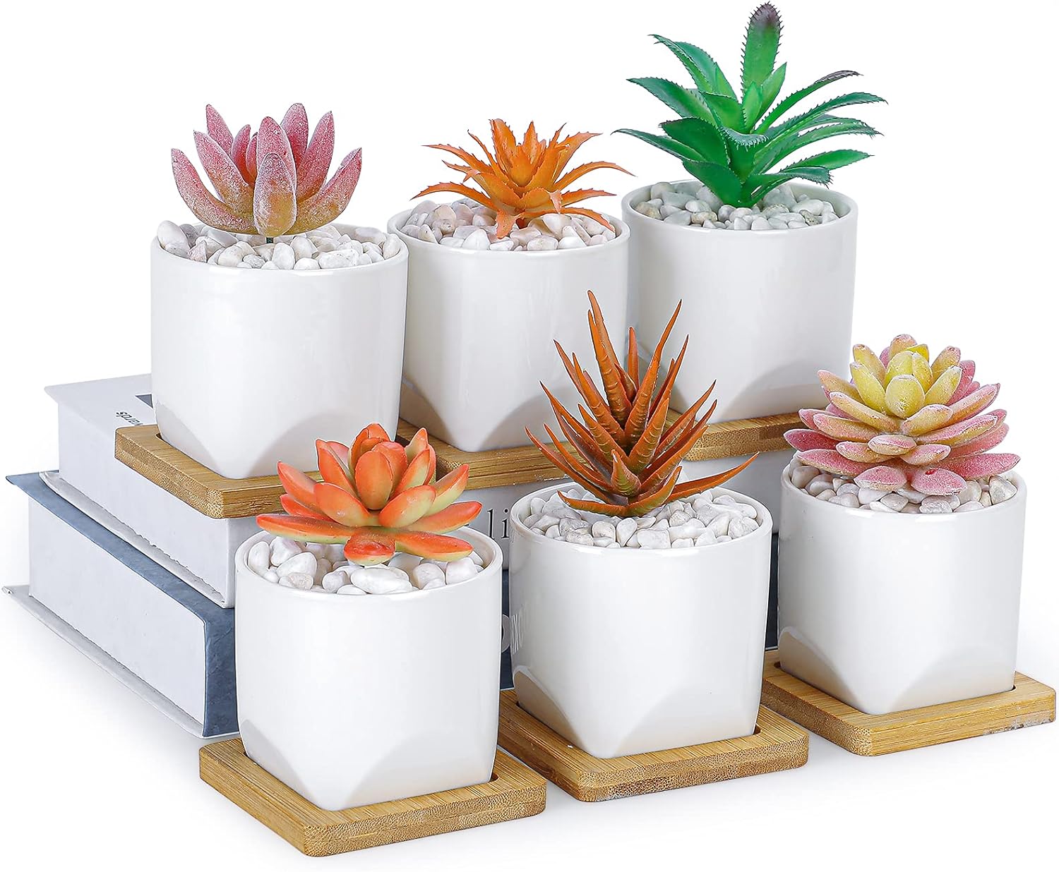 ARTKETTY Succulent Pots - 4 Inch Small Plant Pots with Drainage Trays Set of 6, Ceramic Pots for Indoor Plants White Cactus Flower Planter Container Decorative Garden Home