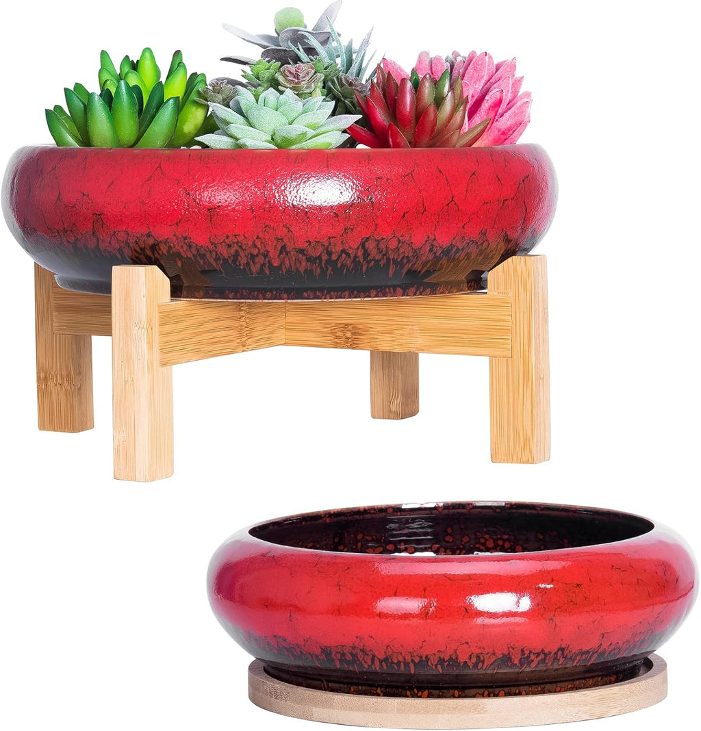 ARTKETTY Succulent Pots - 7.3/10 Inch Large Plant Pot Ceramic Bonsai Planter with Drainage Tray, Shallow Planters for Succulents Cactus Flower Small Plants Birthday Gifts for Women