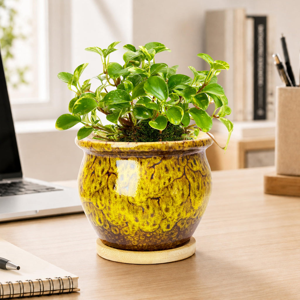 ARTKETTY 4.5 Inch Plant Pots, Small Pots for Plant Indoor, Ceramic Planter with Tray