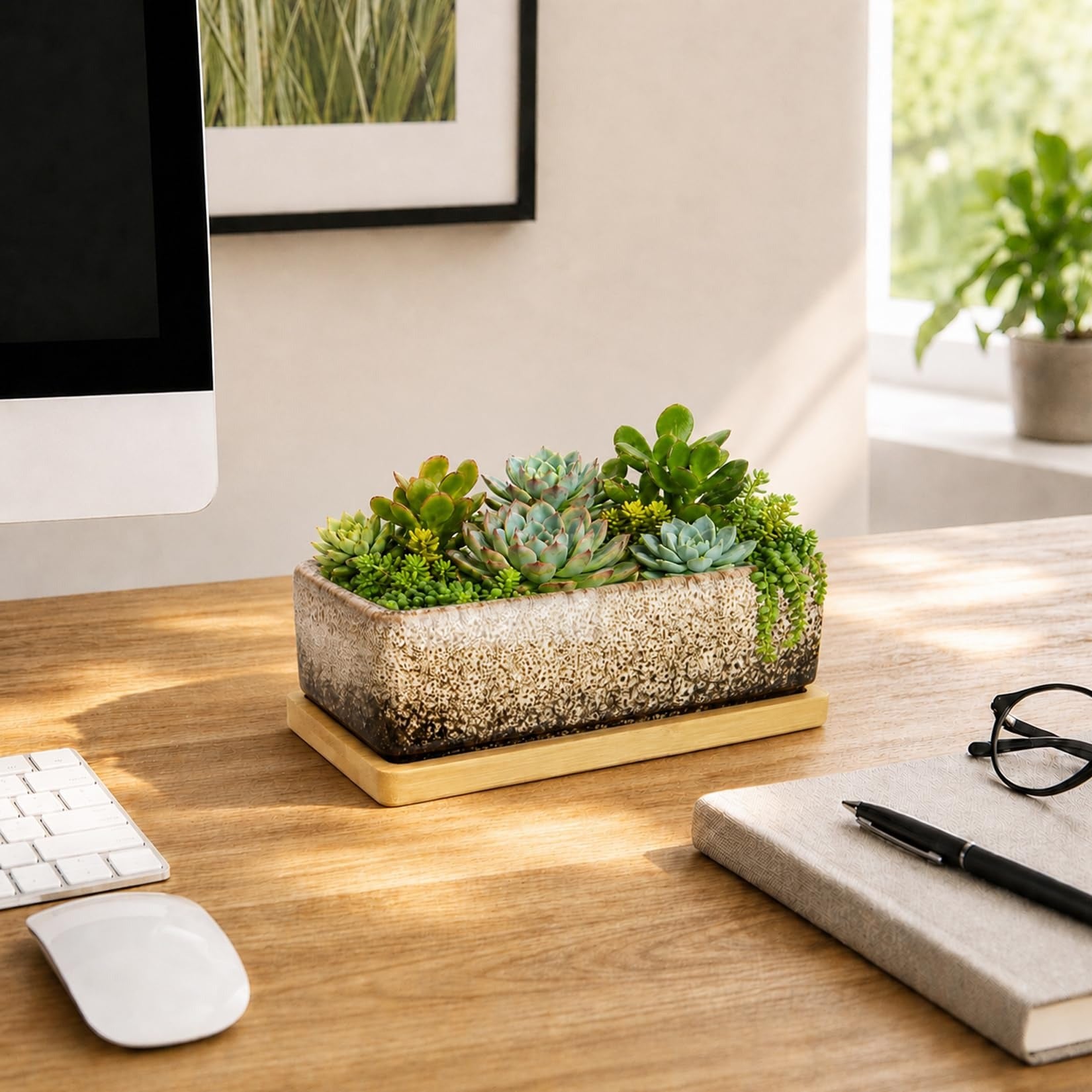 ARTKETTY Succulent Pots - 7 Inch Large Succulent Planters with Drainage Tray, Window Sill Planter, Long Rectangle Ceramic Pots for Indoor Cactus Plants Shallow Bonsai Window Box for Home Garden Decor