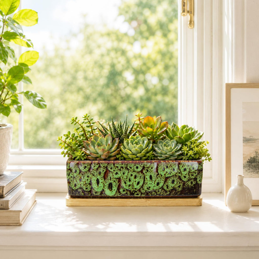 ARTKETTY Succulent Pots - 7 Inch Large Succulent Planters with Drainage Tray, Window Sill Planter, Long Rectangle Ceramic Pots for Indoor Cactus Plants Shallow Bonsai Window Box for Home Garden Decor