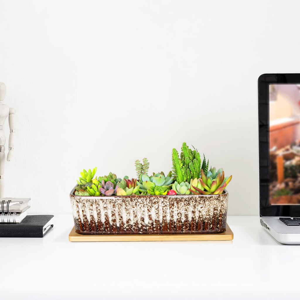 Succulent Pots - 12 Inch Large Succulent Planters with Drainage Tray, Window Sill Planter, Long Rectangle Ceramic Pots for Indoor Cactus Plants Shallow Bonsai Window Box for Home Garden Decor
