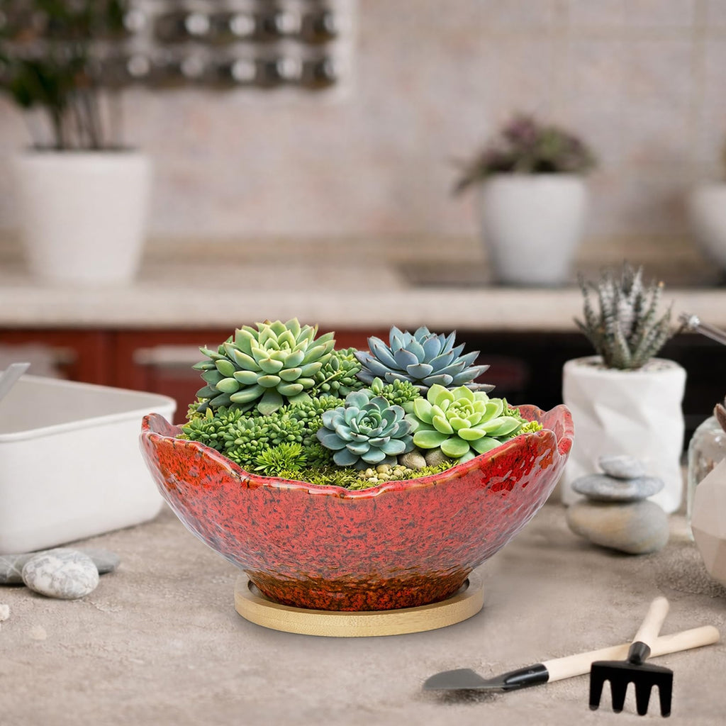ARTKETTY Bonsai Pots - 9.06 Inch Large Plant Pots, Unique Succulent Pots with Drainage Tray, Ceramic Planters for Indoor Cactus Flower Plants Round Bonsai Tree Pots Decorative Home Office