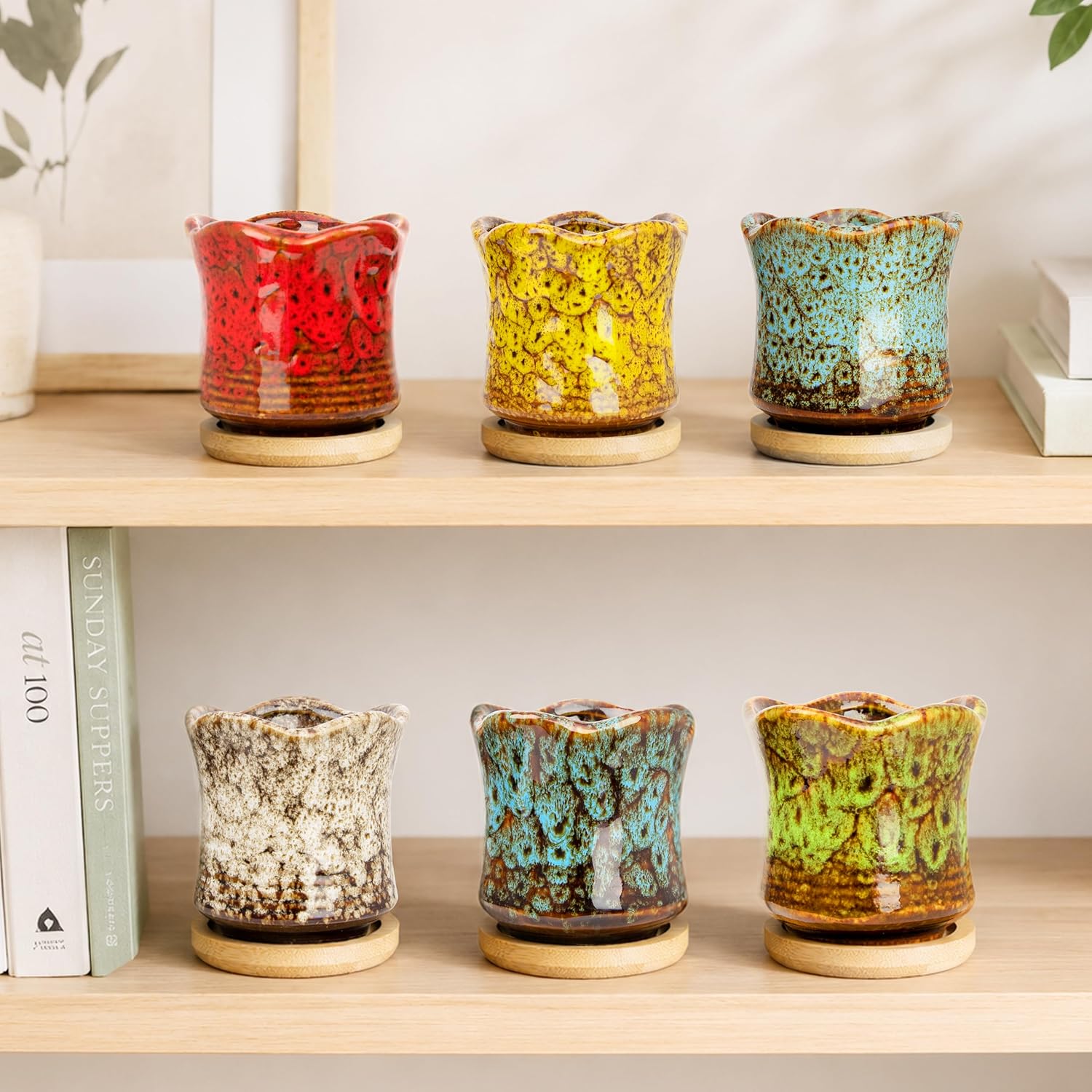 Succulent Pots with Drainage Tray, Cute Ceramic Pots for Plants Set of 6