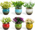 Colorful - Faux Plants