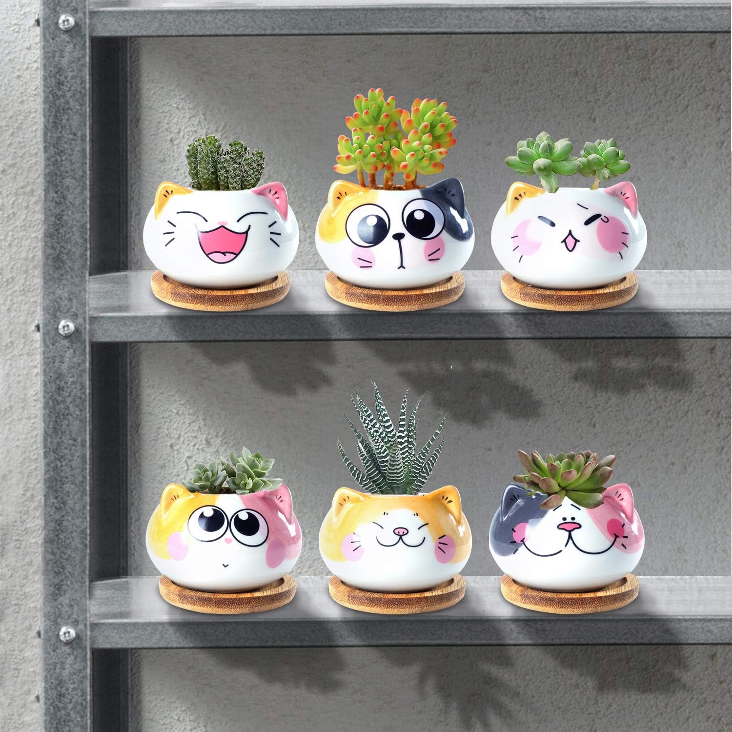 Succulent Pots with Drainage 3.6 Inch Mini Cat Pots for Plants Tiny Animal Planter Small Ceramic Air Plant Flower Pots Cactus Faux Planters Containers with Bamboo Tray