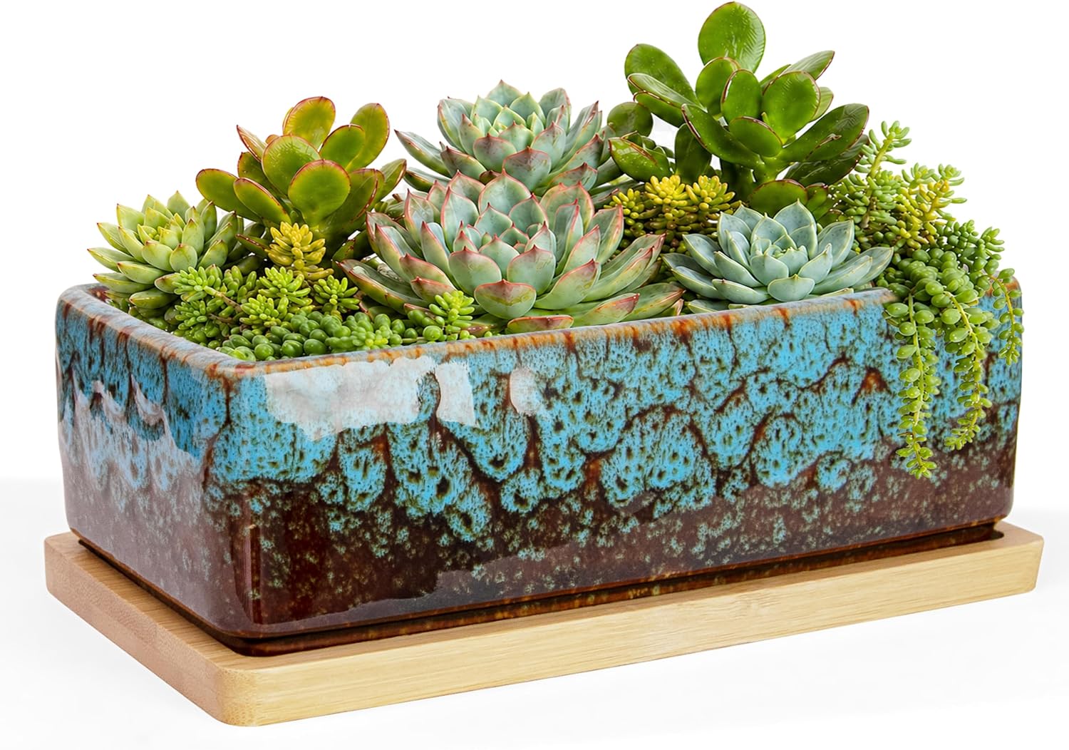 ARTKETTY Succulent Pots - 7 Inch Large Succulent Planters with Drainage Tray, Window Sill Planter, Long Rectangle Ceramic Pots for Indoor Cactus Plants Shallow Bonsai Window Box for Home Garden Decor