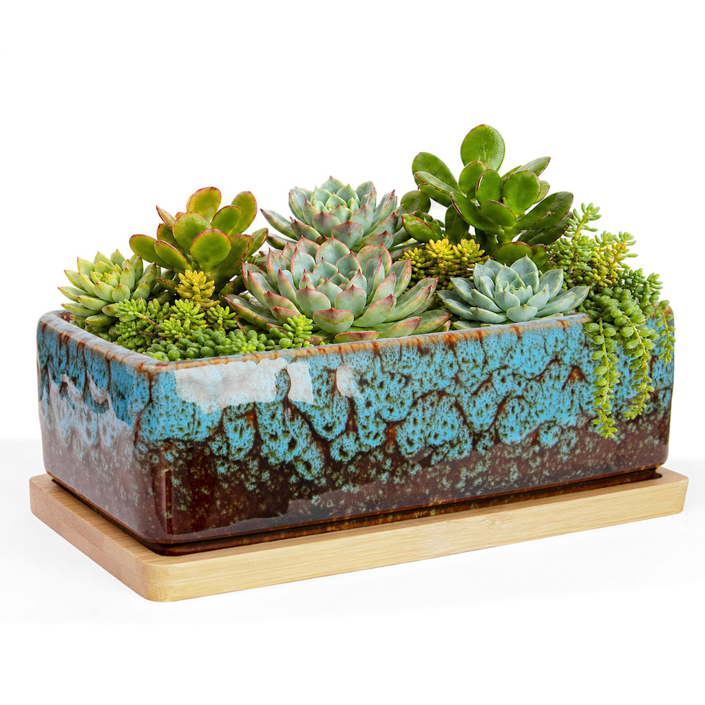 ARTKETTY Succulent Pots - 7 Inch Large Succulent Planters with Drainage Tray, Window Sill Planter, Long Rectangle Ceramic Pots for Indoor Cactus Plants Shallow Bonsai Window Box for Home Garden Decor