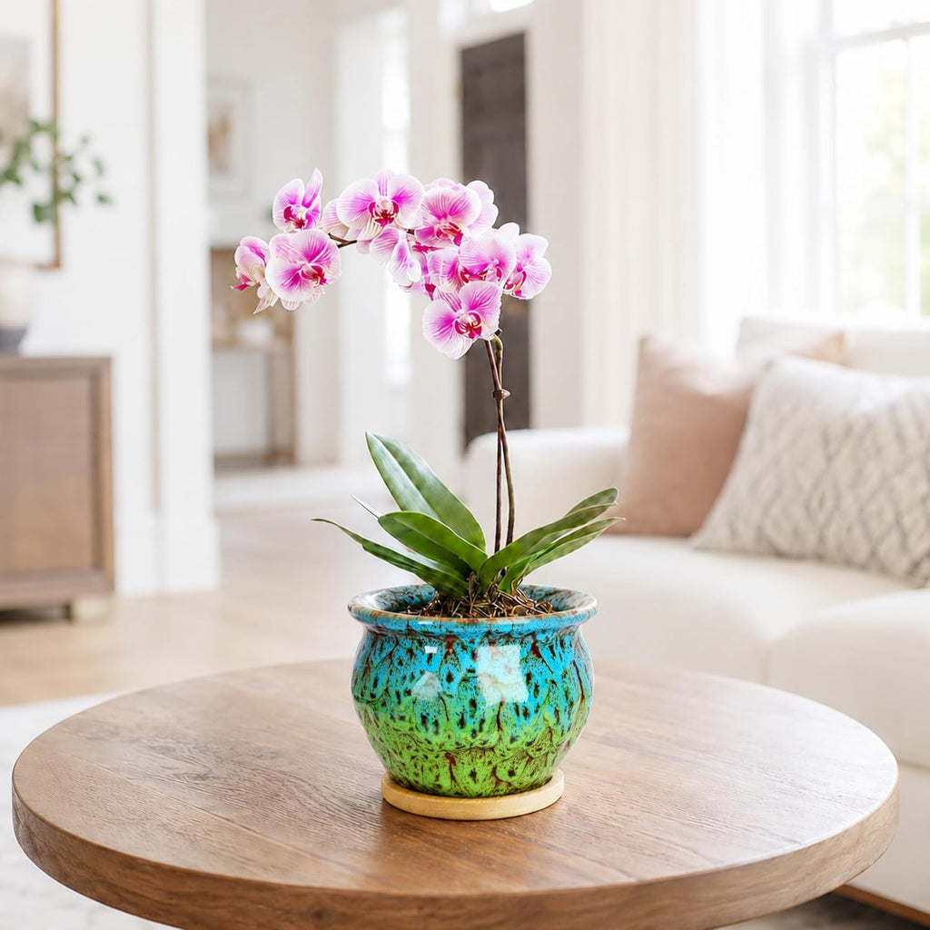 ARTKETTY 4.5 Inch Plant Pots, Small Pots for Plant Indoor, Ceramic Planter with Tray