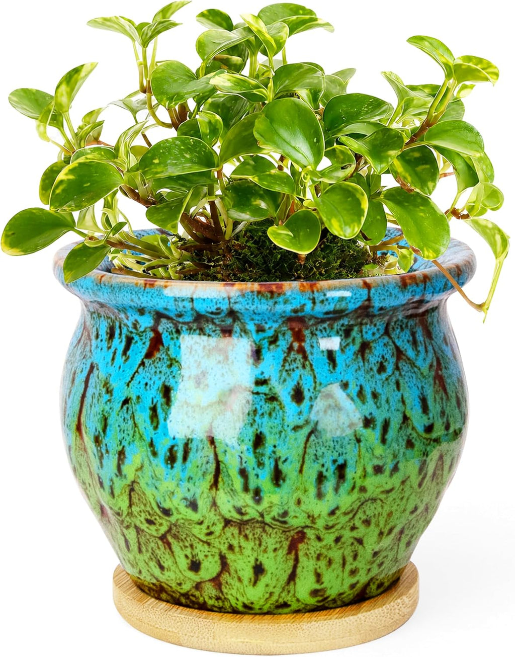 ARTKETTY 4.5 Inch Plant Pots, Small Pots for Plant Indoor, Ceramic Planter with Tray