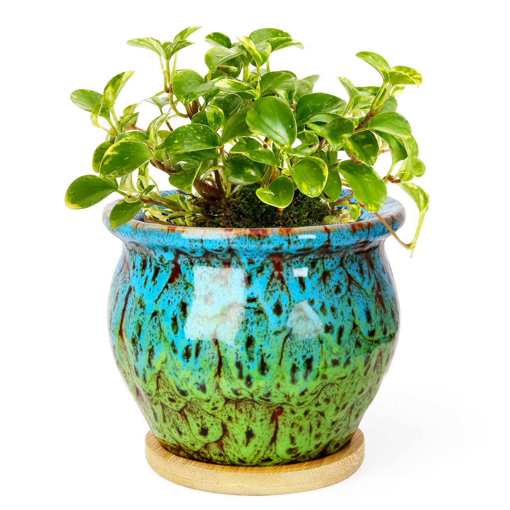 ARTKETTY 4.5 Inch Plant Pots, Small Pots for Plant Indoor, Ceramic Planter with Tray