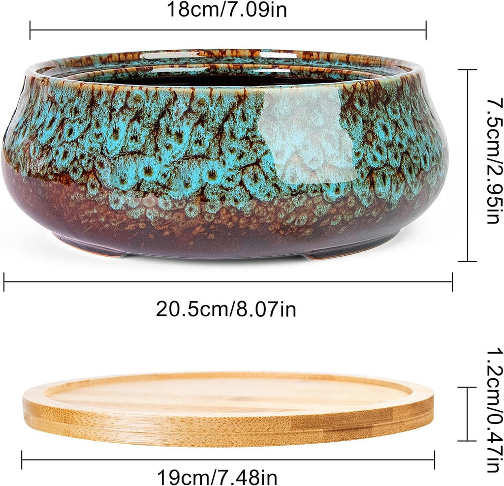 ARTKETTY Succulent Pots - 8 Inch Large Plant Pots, Shallow Planters | Ceramic Bonsai Pots with Drainage Tray, Round Cactus Flower Plant Container Bowl Decorative Home Garden