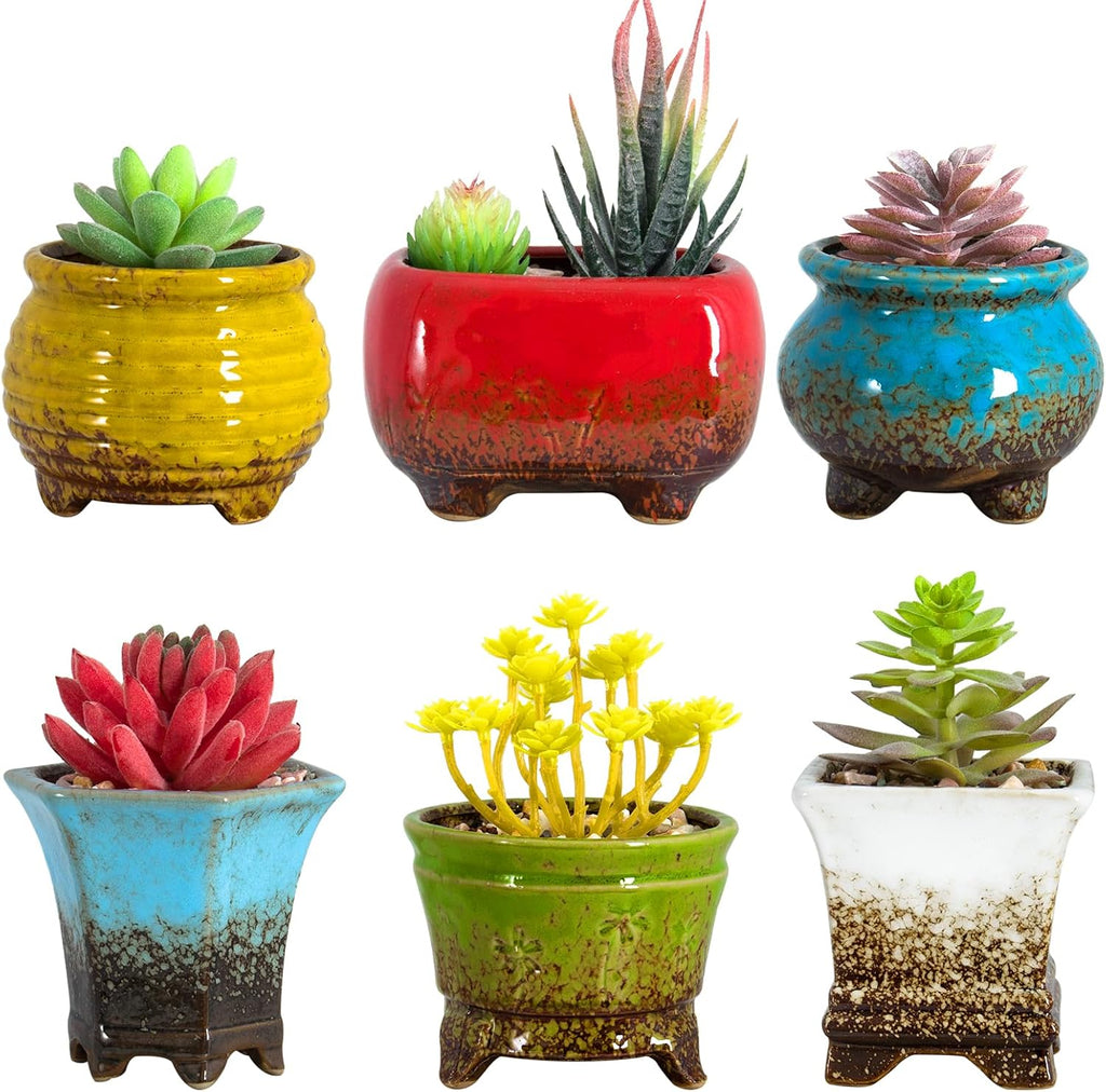 Succulent Pots - Small Succulent Plant Pots with Drainage Set of 6, Ceramic Cactus Planter Pots for Indoor Unique Flower Planter Container for Home Office Decor