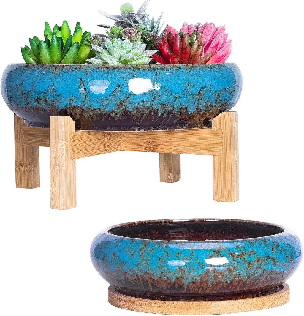 ARTKETTY Succulent Pots - 7.3/10 Inch Large Plant Pot Ceramic Bonsai Planter with Drainage Tray, Shallow Planters for Succulents Cactus Flower Small Plants Birthday Gifts for Women