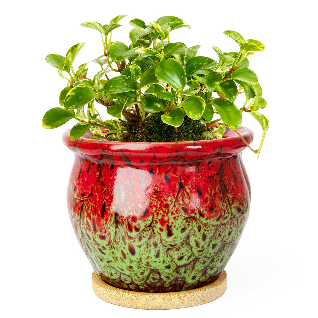 ARTKETTY 4.5 Inch Plant Pots, Small Pots for Plant Indoor, Ceramic Planter with Tray