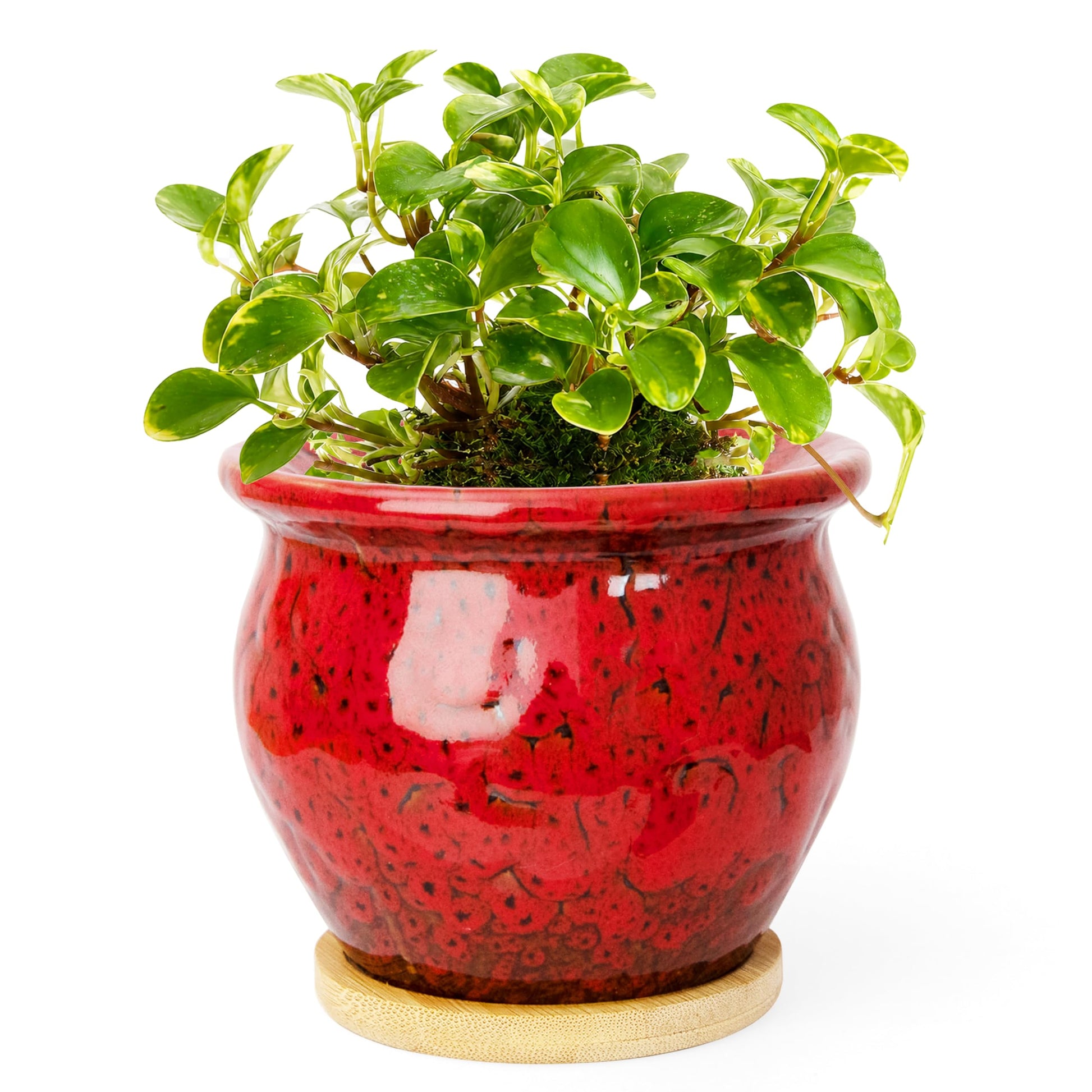 ARTKETTY 4.5 Inch Plant Pots, Small Pots for Plant Indoor, Ceramic Planter with Tray