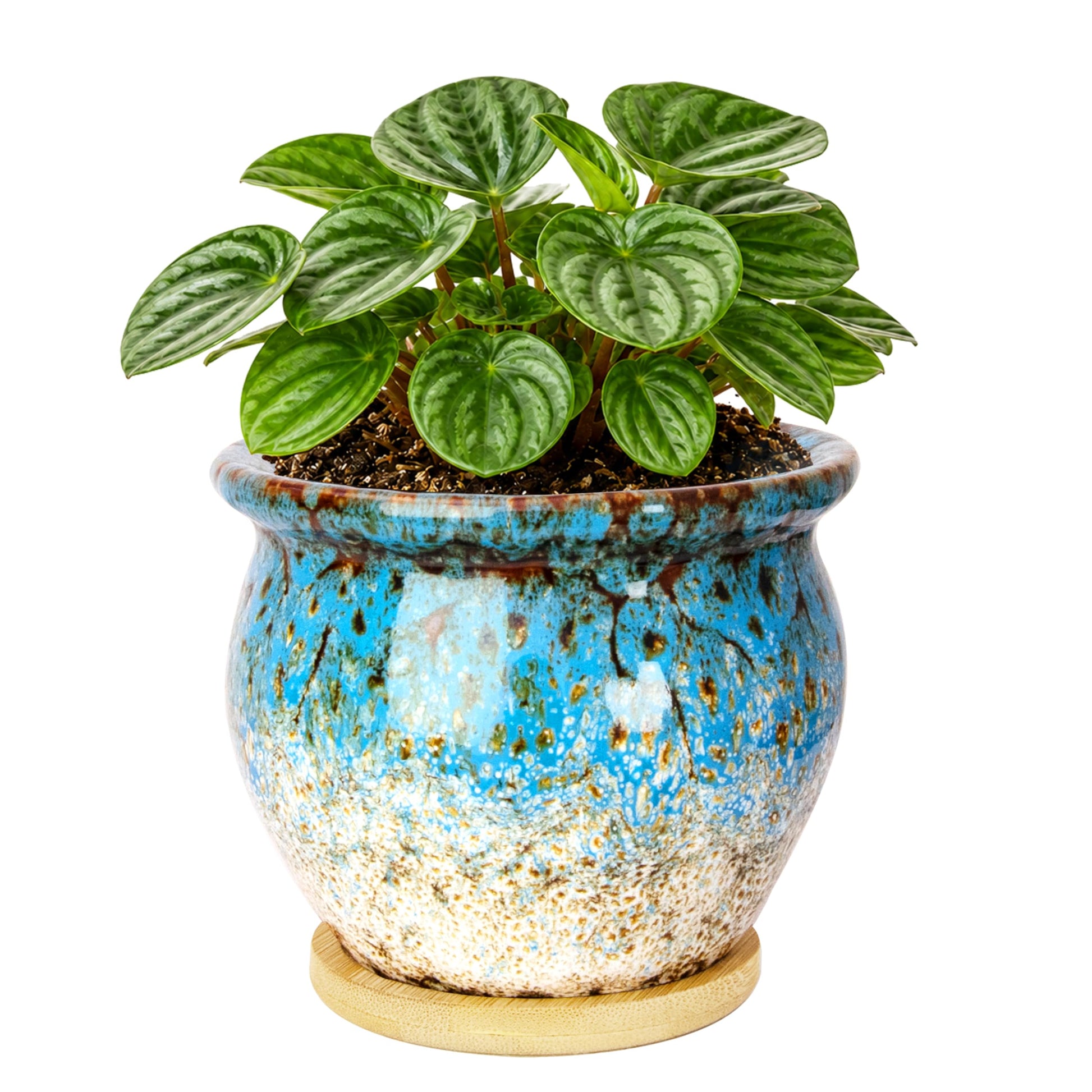ARTKETTY 4.5 Inch Plant Pots, Small Pots for Plant Indoor, Ceramic Planter with Tray