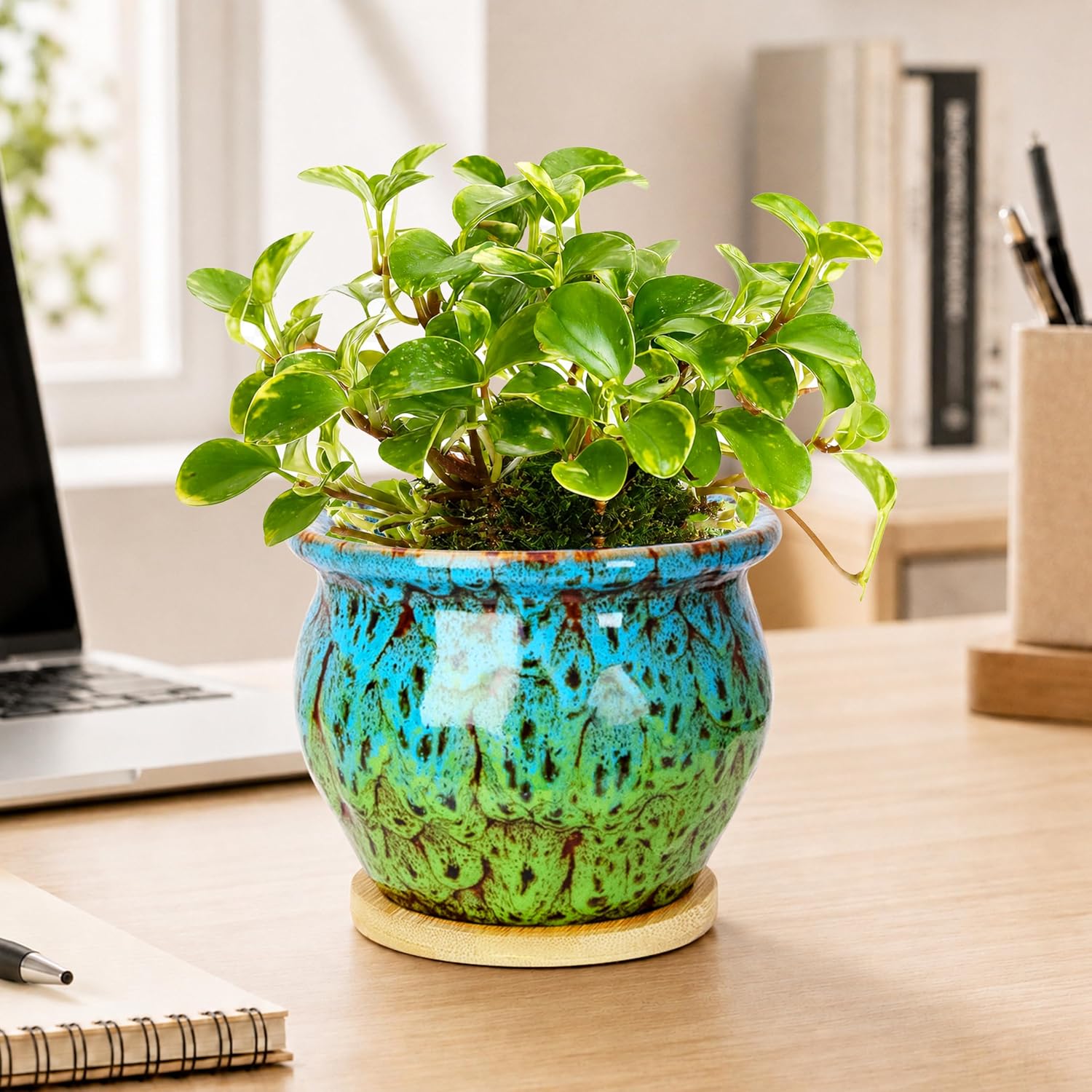 ARTKETTY 4.5 Inch Plant Pots, Small Pots for Plant Indoor, Ceramic Planter with Tray
