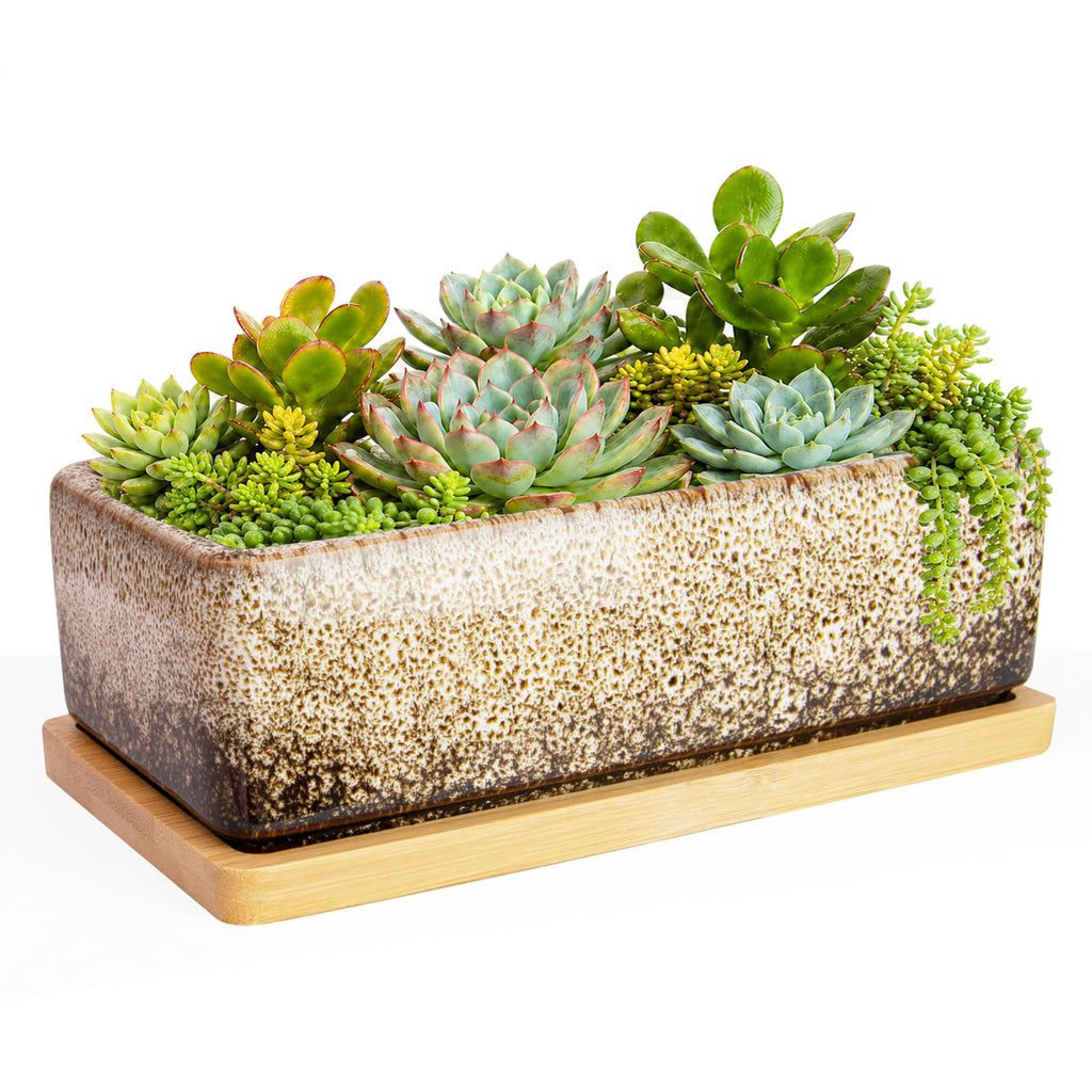ARTKETTY Succulent Pots - 7 Inch Large Succulent Planters with Drainage Tray, Window Sill Planter, Long Rectangle Ceramic Pots for Indoor Cactus Plants Shallow Bonsai Window Box for Home Garden Decor