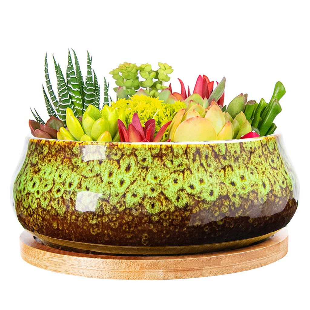 ARTKETTY Succulent Pots - 8 Inch Large Plant Pots, Shallow Planters | Ceramic Bonsai Pots with Drainage Tray, Round Cactus Flower Plant Container Bowl Decorative Home Garden
