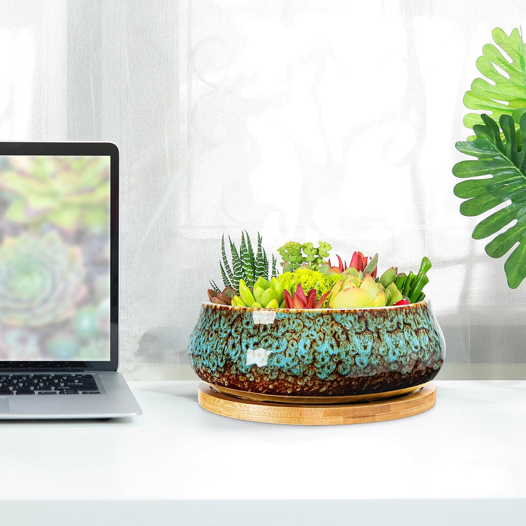 ARTKETTY Succulent Pots - 8 Inch Large Plant Pots, Shallow Planters | Ceramic Bonsai Pots with Drainage Tray, Round Cactus Flower Plant Container Bowl Decorative Home Garden