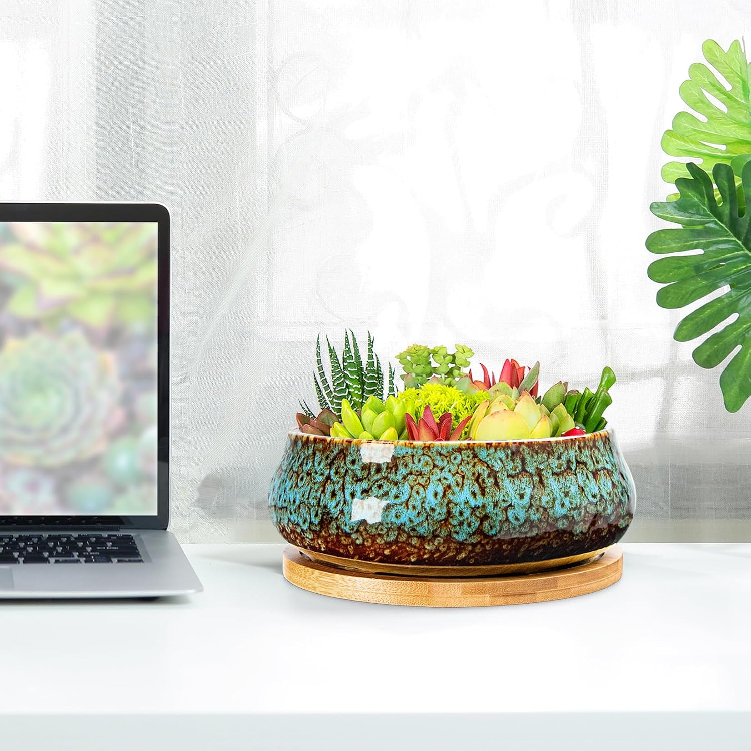 ARTKETTY Succulent Pots - 8 Inch Large Plant Pots, Shallow Planters | Ceramic Bonsai Pots with Drainage Tray, Round Cactus Flower Plant Container Bowl Decorative Home Garden