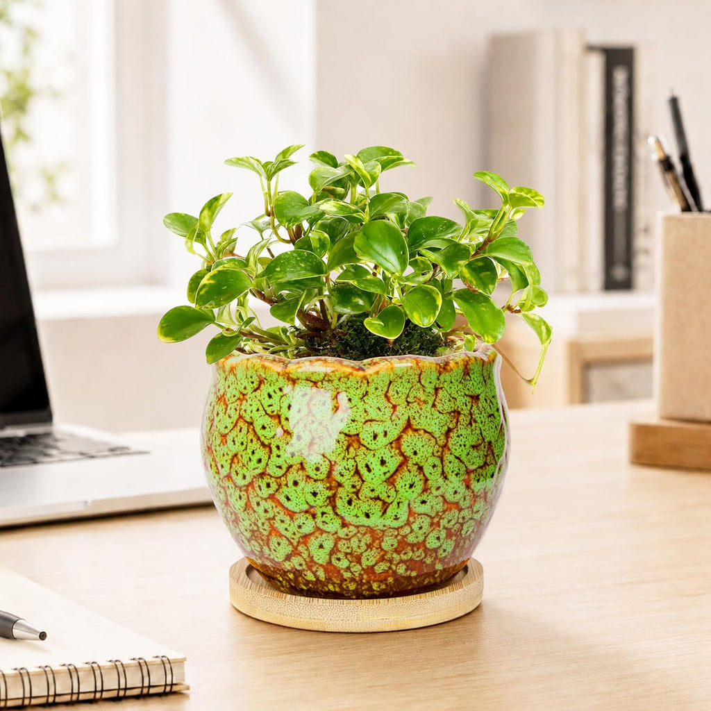 ARTKETTY Succulent Pots, 4 Pack Small Plant Pots with Drainage Tray | 4 Inch Flower Pots, Ceramic Planters for Indoor, Home Office Desk Decor