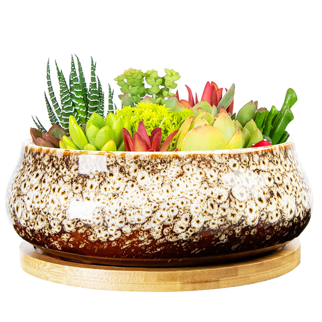 ARTKETTY Succulent Pots - 8 Inch Large Plant Pots, Shallow Planters | Ceramic Bonsai Pots with Drainage Tray, Round Cactus Flower Plant Container Bowl Decorative Home Garden
